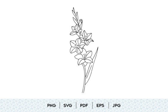Gladiolus Flower Botanical Line Art for Crafting and Graphics