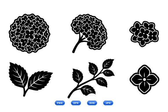 Hydrangea Floral Clipart Collection: Graphics & Illustrations