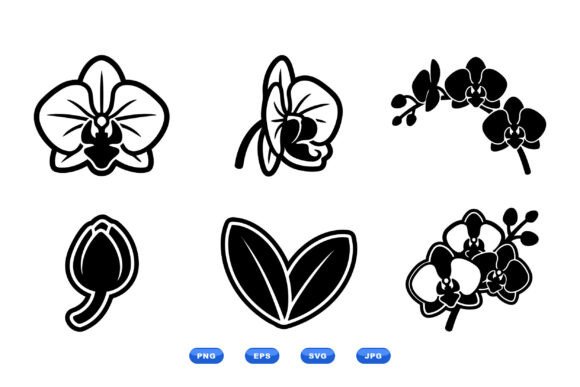 Orchid Floral SVG Icons: Elegant Graphics for Botanical Illustrations