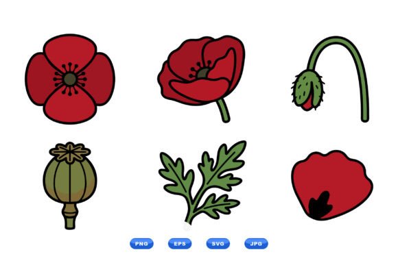Poppy Floral Clipart Collection: Graphics & Illustrations