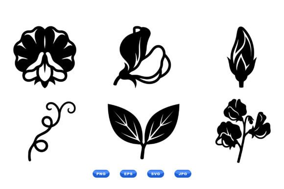 Sweet Pea Floral Clipart: Graphics & Illustrations for Sellers